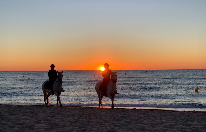 CHEVAL ANDALOU LEVER DE SOLEIL