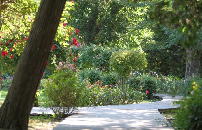 Jardin des plantes 2016-12
